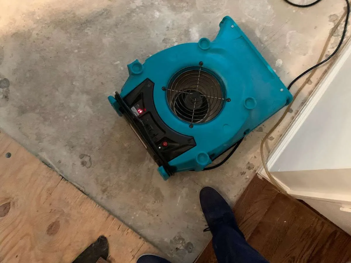 Air mover drying subfloor during Commercial Water Damage Restoration in Florence
